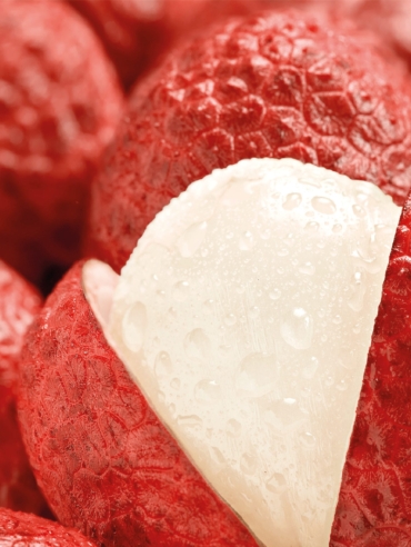 Lychee_1f4b53f1-ceac-4aea-8f51-72ad35cf5b22_2048x2048.jpg